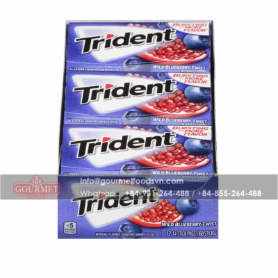 trident_chewing_gum_blueberry_2