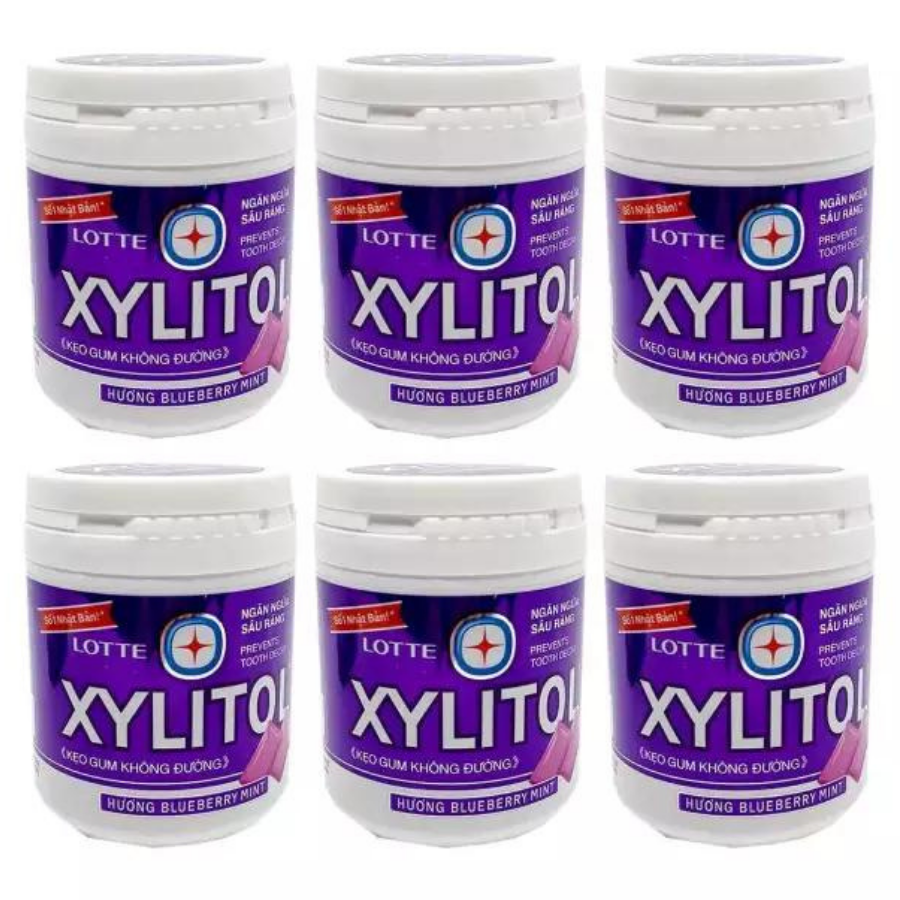 Lotte Xylitol Blueberry Mint Gum 145g x 6 Jars x 6 Boxes