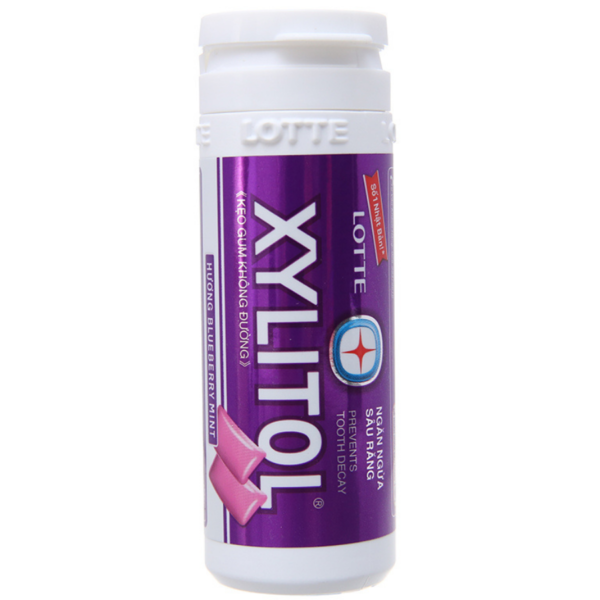 Xylitol Lotte Blueberry Mint Gum 26.1g x 12 Jars x 12 Boxes