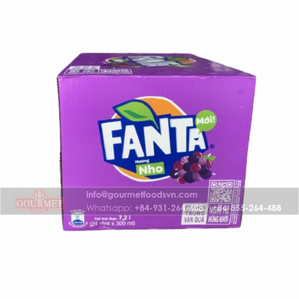 fanta grape (2)